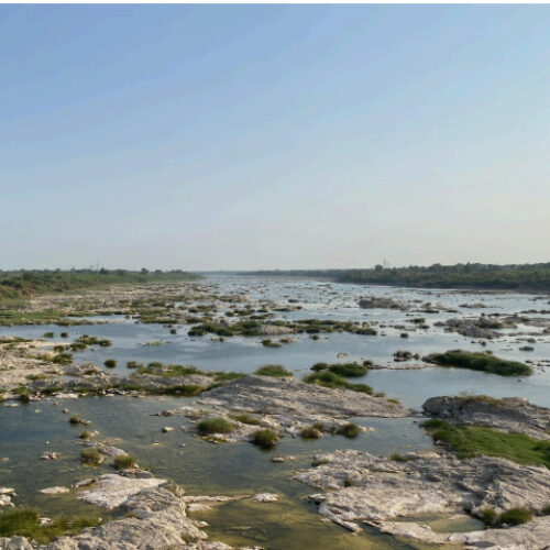 Mahi River view